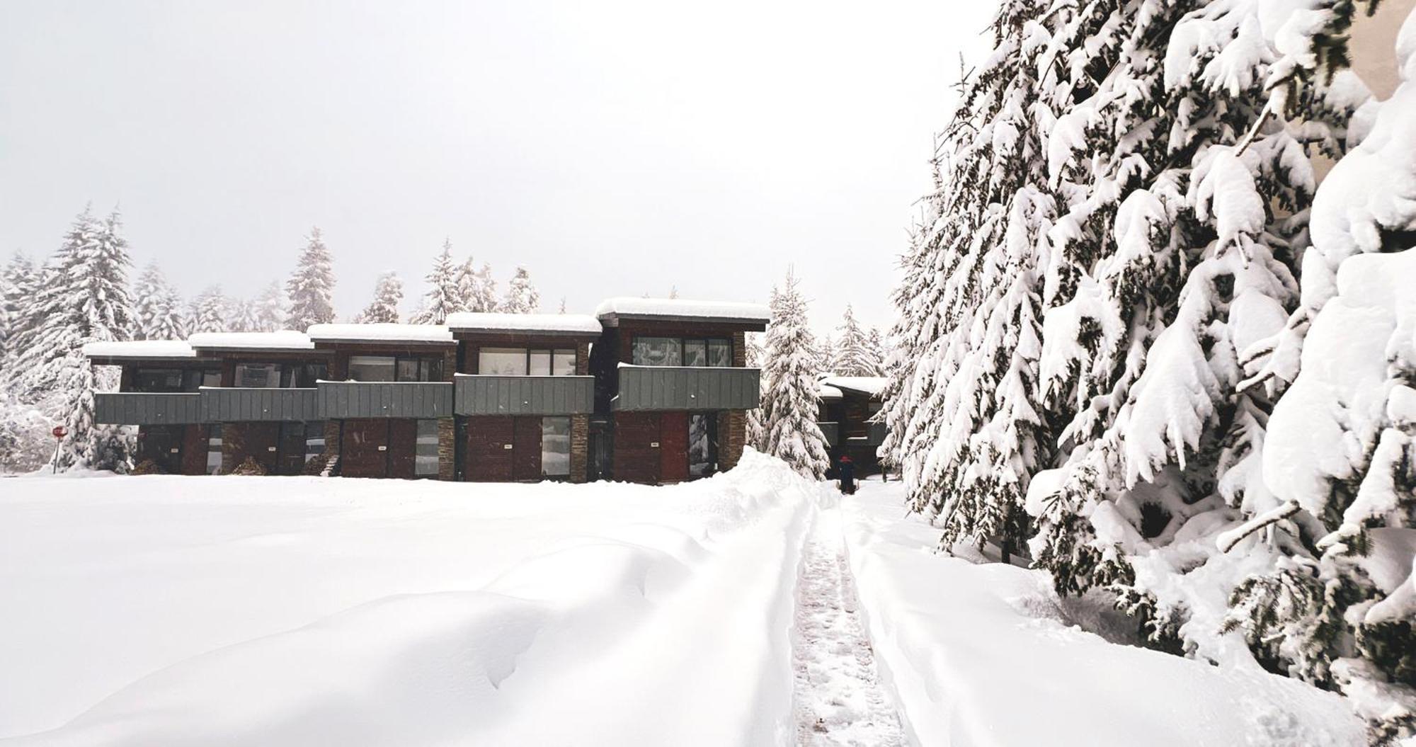 Euphoria Club Hotel Borovets Dış mekan fotoğraf