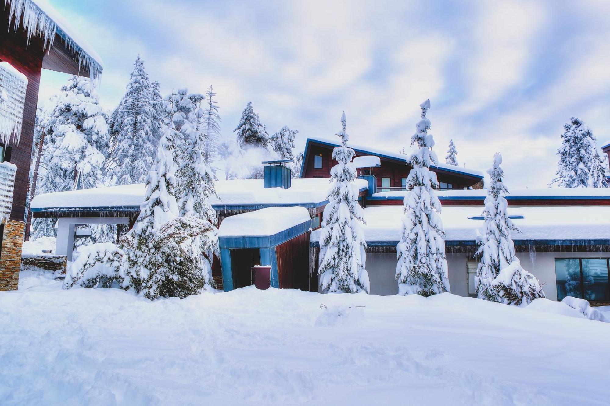 Euphoria Club Hotel Borovets Dış mekan fotoğraf